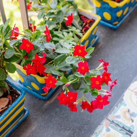 Round House * Sorrent