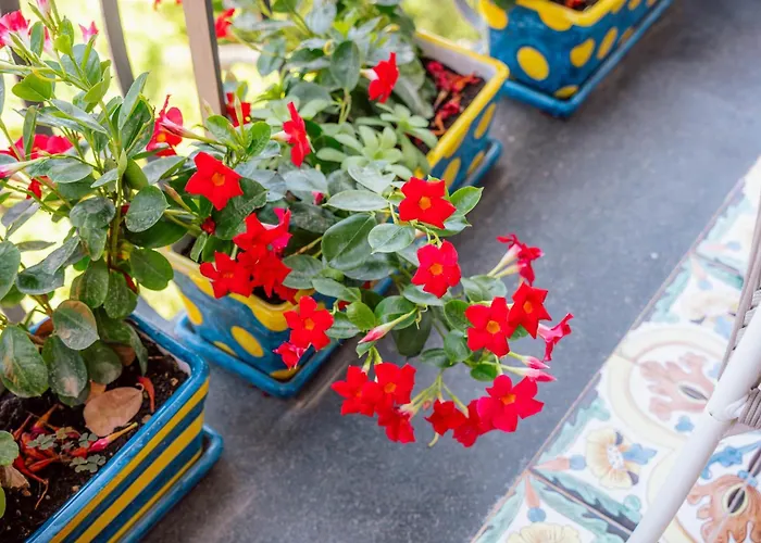 Round House * Sorrento